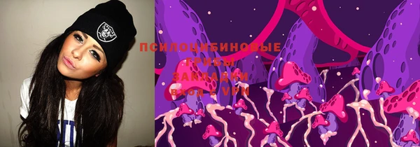 дмт Аркадак