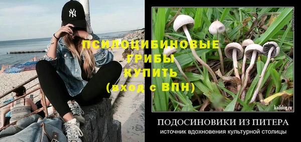 трава Армянск