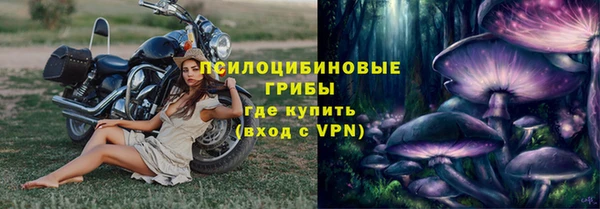 трава Армянск