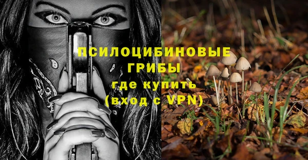 дмт Аркадак