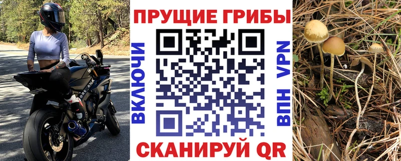 Псилоцибиновые грибы Psilocybine cubensis  Остров 